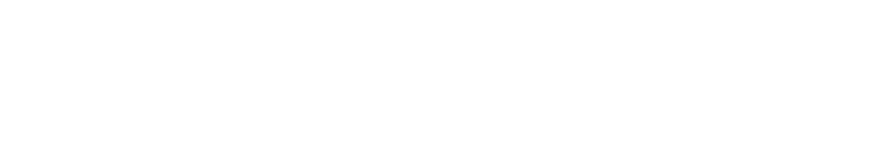 DSEV Logo