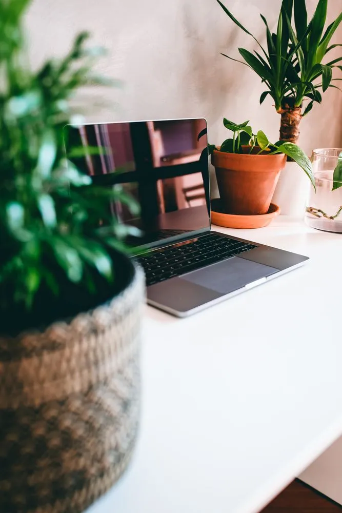 seo agentur regensburg